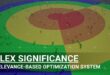 Flex Significance – Relevance-Based Optimization System download