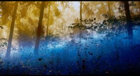 Ground Fog download