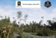 Baygall Habitat Brush download