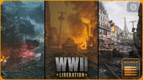 France – WWII Liberation – [World War 2/WW2] download