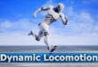 Dynamic Locomotion download
