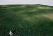 Grass and Greens Pack download