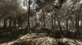 Pine forest – Photogrammetry based High poly Biome download