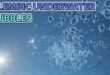3D Alembic Underwater Bubbles download
