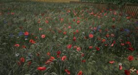 Flowers and Plants Nature Pack download