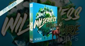 Wilderness Nature Loops download