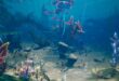 Alien Ocean Environment – Fantasy Planet download
