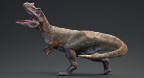Ceratosaurus download