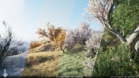 Cherry Plum, Prunus cerasifera – Seasons, Tree Pack download
