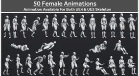 50 Female Animations download