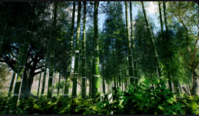 Bamboo Asian forest download