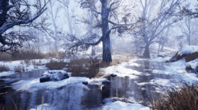 Winter Forest download