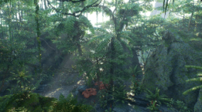 Tropical Jungle Pack download