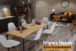 Triplex House Villa download