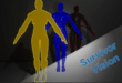 Survivor Vision – Advanced Outline, Fill and Tagging System download