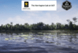 Subtropical Waterbody Habitat Brush download