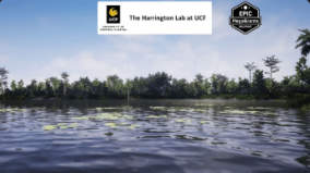 Subtropical Waterbody Habitat Brush download