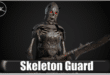Skeleton Guard (Modular) download