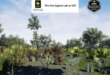 Scrub Habitat Brush download