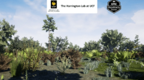 Scrub Habitat Brush download