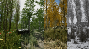 Scanned Poplar and Aspen Forest with Seasons download