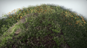 Plants Pack download