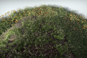 Plants Pack download