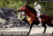 Horse Starter Kit download
