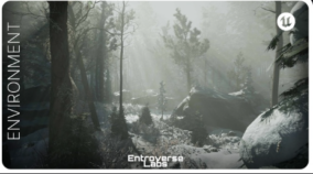 Taiga Biome Environment download