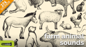 Farm Animal Sounds download