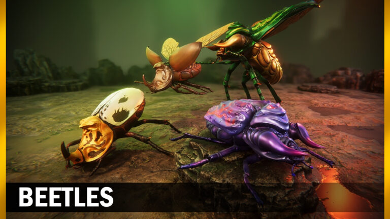 Beetles download