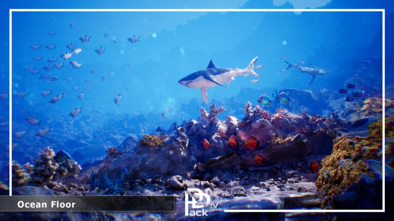 Ocean Floor Pack / High Quality Environment download
