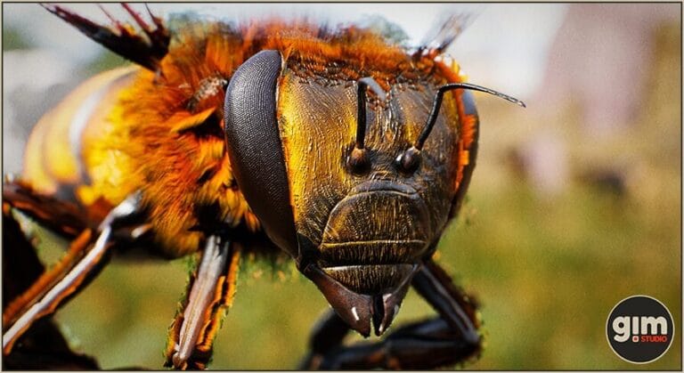 Animalia – Honeybee download