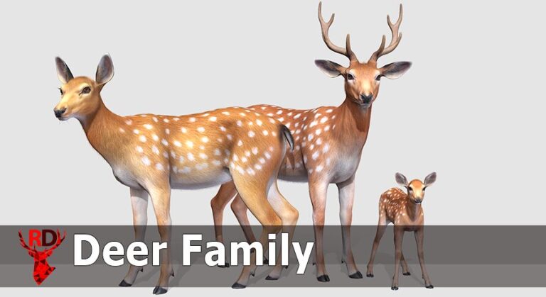 Deer Family download