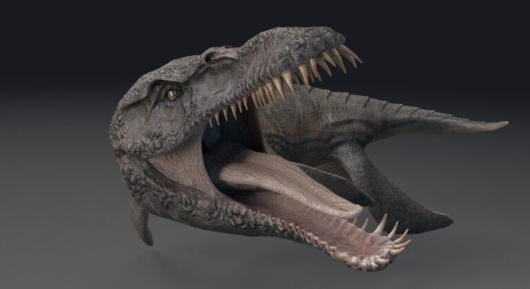 Dinosaur Predator X –  Pliosaurus Funkei Sea Monster Series 2 download