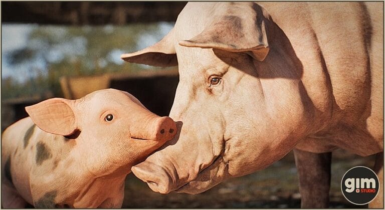 Animalia – Pig (pack) download
