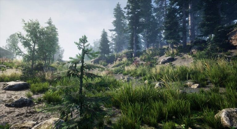 Environment Set download