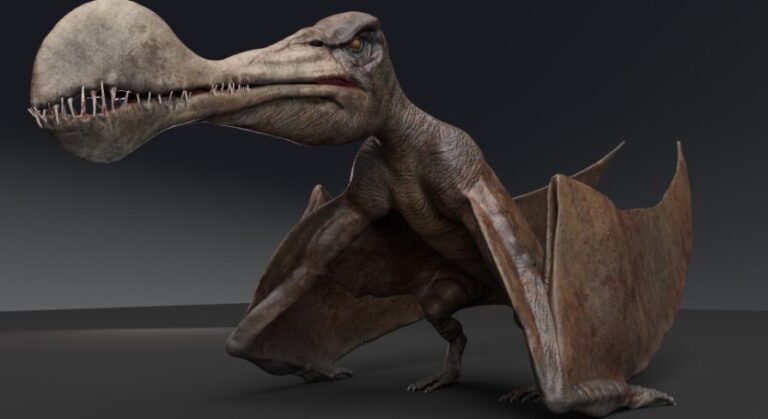 Dinosaur Tropeognathus download