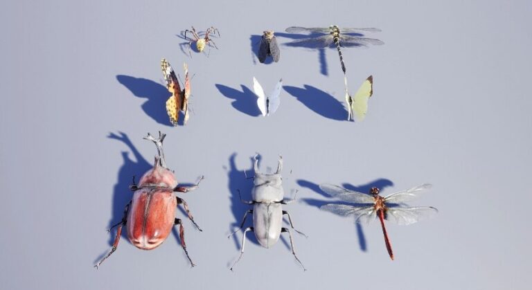 Japanese Insect Pack download