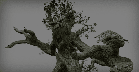 Oak Tree Ent download