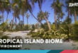 Tropical Island Biome download