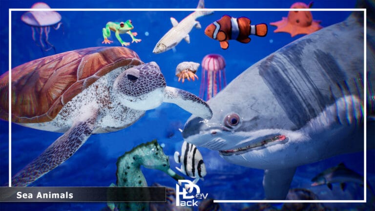 Sea Animals / 12 Meshes download