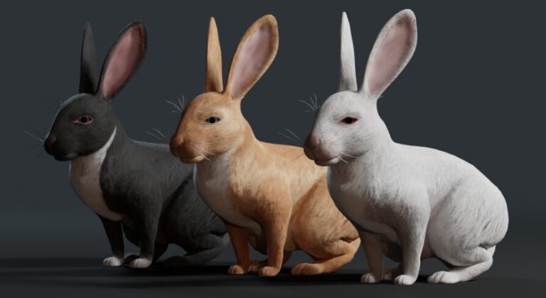 Realistic Rabbit download