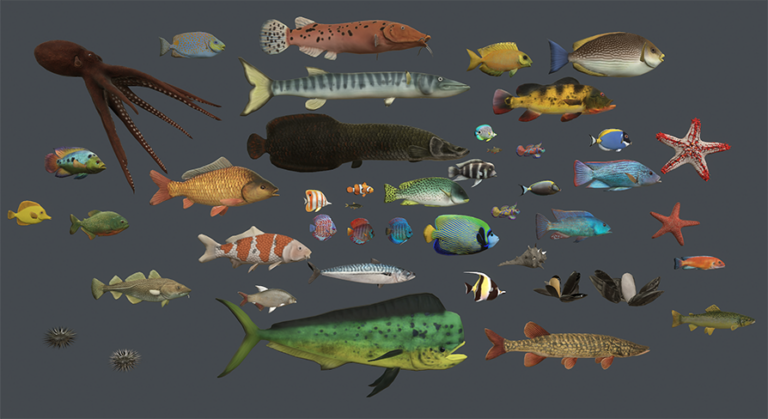 Underwater Life download