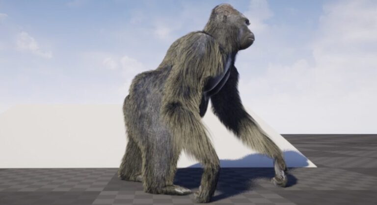 Gorilla with groom download