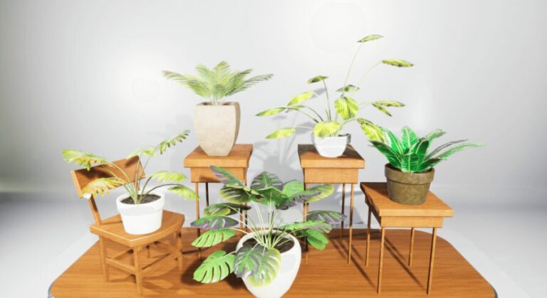 House Plants Collection download