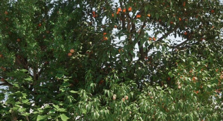 fruit tree V1 download