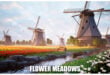 Flower Meadows download