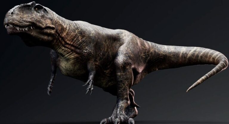 Dinosaur Giganotosaurus download