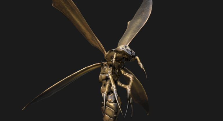 Angry Wasp download